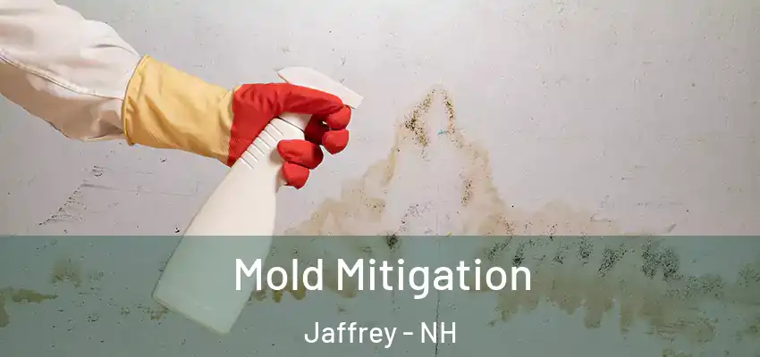 Mold Mitigation Jaffrey - NH