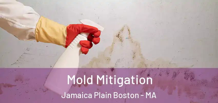  Mold Mitigation Jamaica Plain Boston - MA