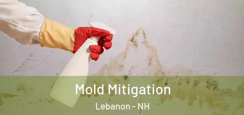  Mold Mitigation Lebanon - NH
