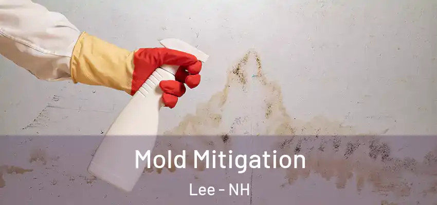 Mold Mitigation Lee - NH