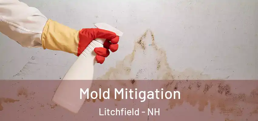 Mold Mitigation Litchfield - NH