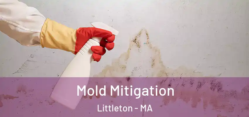 Mold Mitigation Littleton - MA