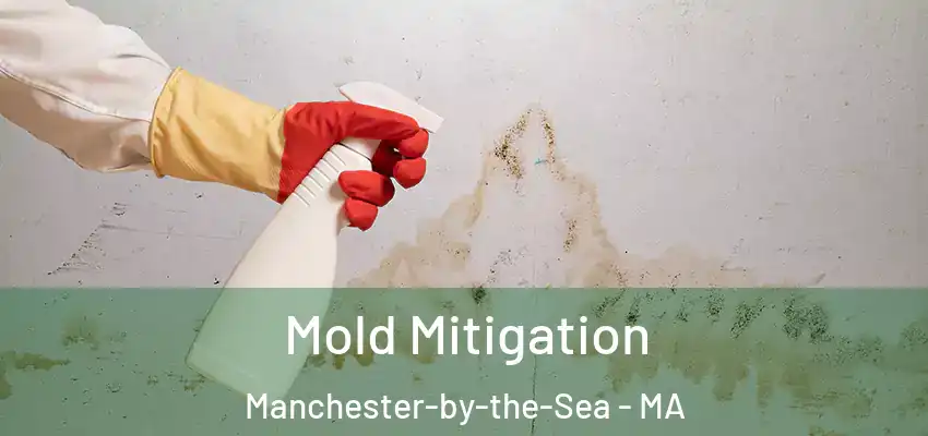  Mold Mitigation Manchester-by-the-Sea - MA