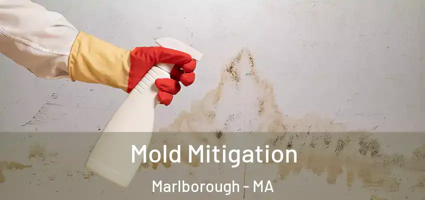 Mold Mitigation Marlborough - MA