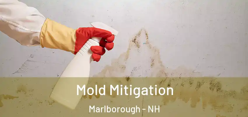 Mold Mitigation Marlborough - NH