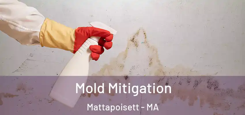  Mold Mitigation Mattapoisett - MA
