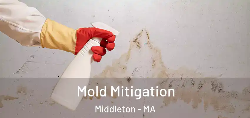  Mold Mitigation Middleton - MA