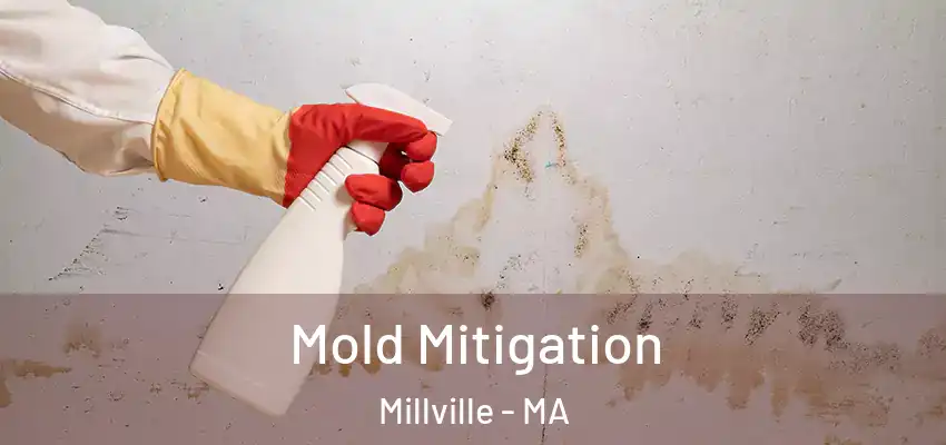 Mold Mitigation Millville - MA