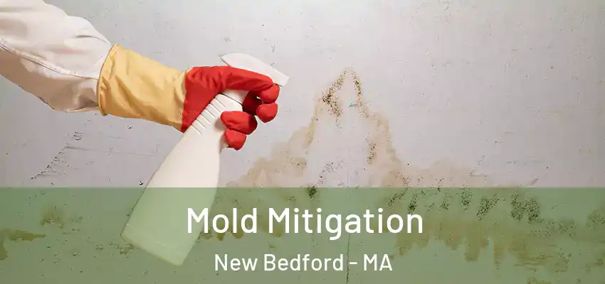  Mold Mitigation New Bedford - MA