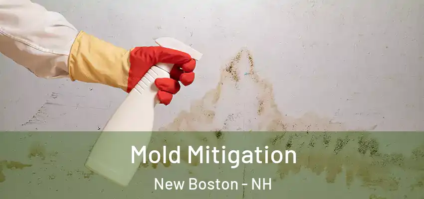 Mold Mitigation New Boston - NH