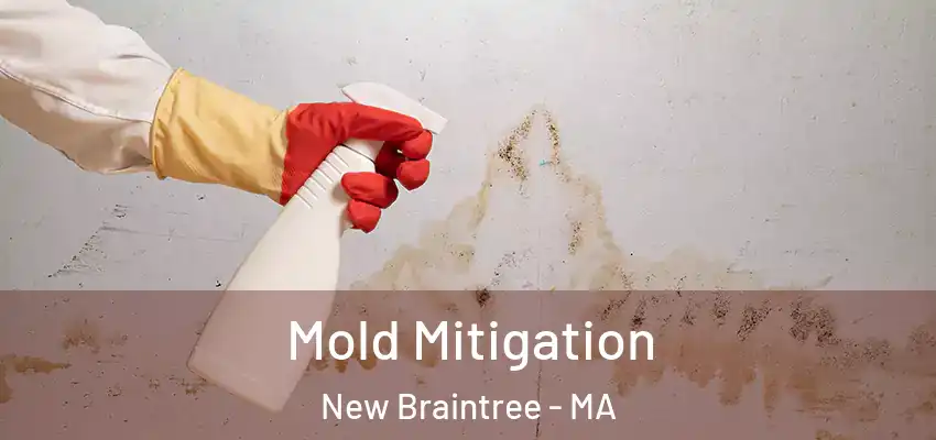 Mold Mitigation New Braintree - MA