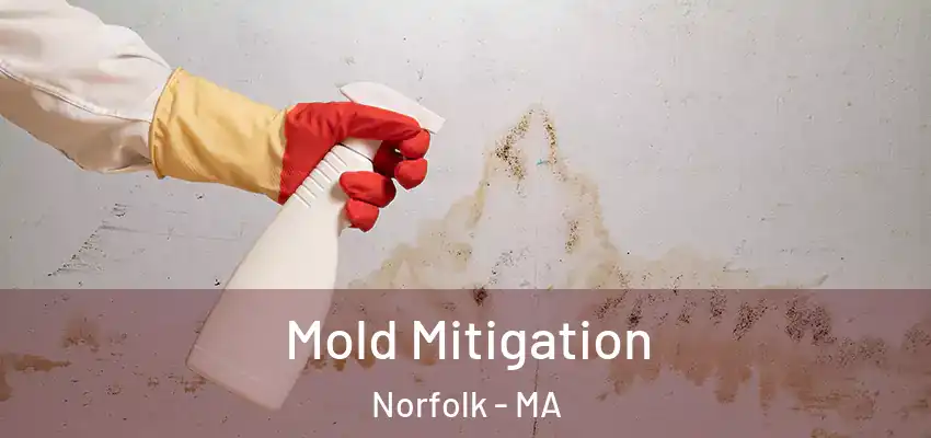  Mold Mitigation Norfolk - MA