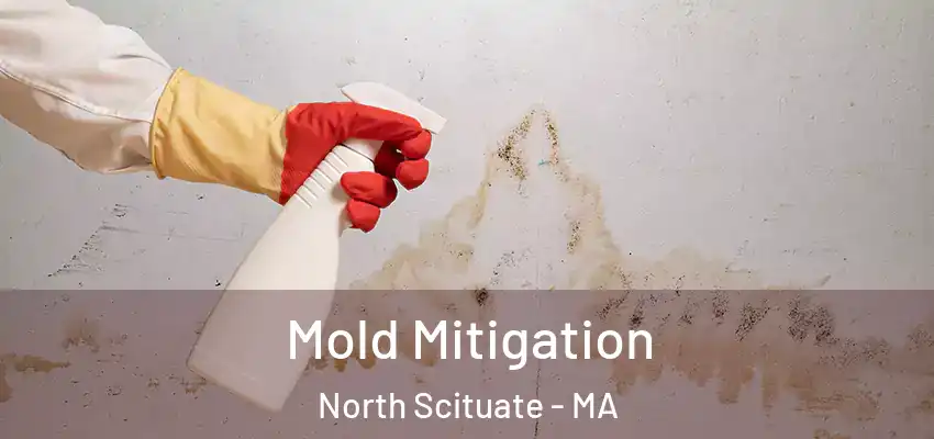 Mold Mitigation North Scituate - MA