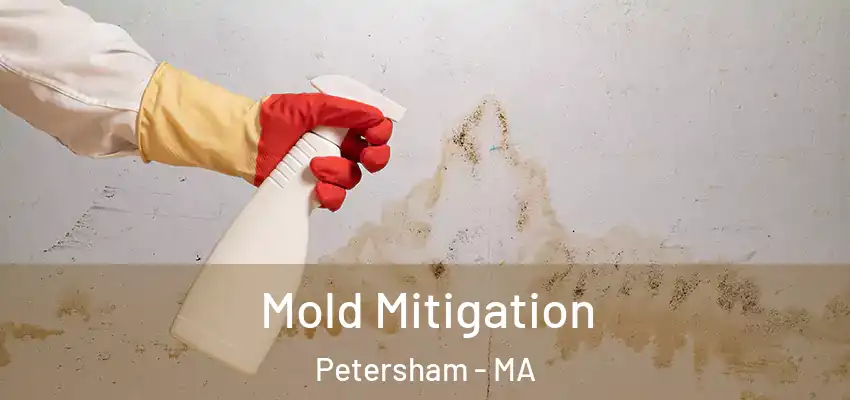 Mold Mitigation Petersham - MA