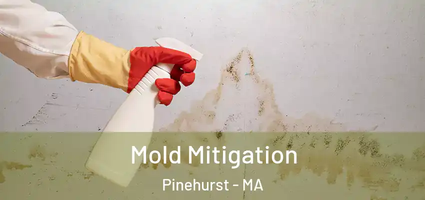  Mold Mitigation Pinehurst - MA
