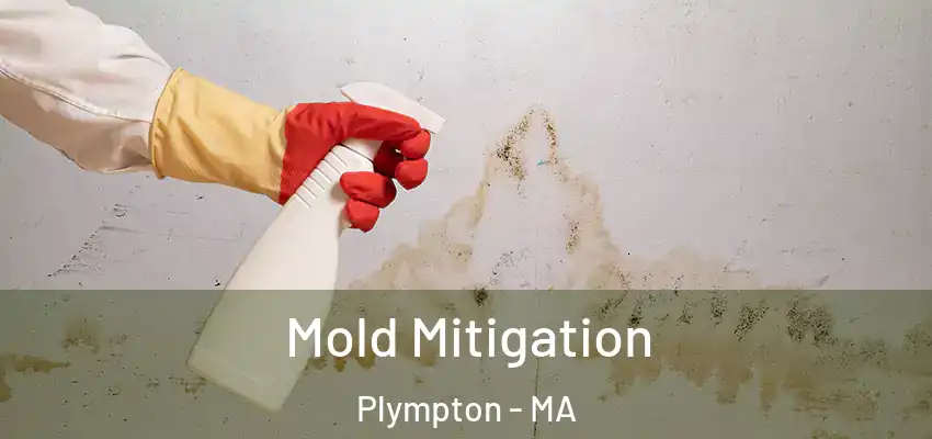 Mold Mitigation Plympton - MA