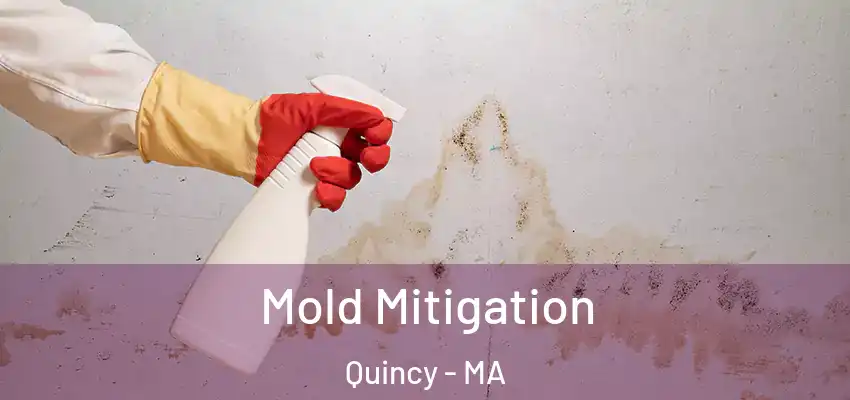  Mold Mitigation Quincy - MA