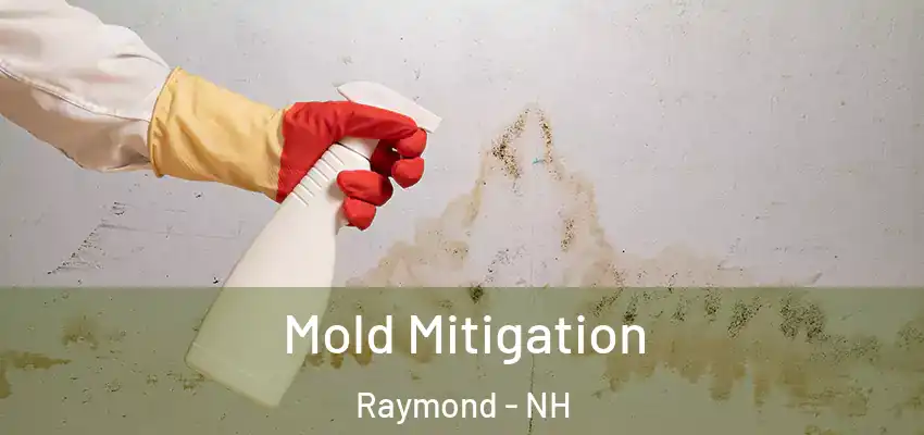 Mold Mitigation Raymond - NH