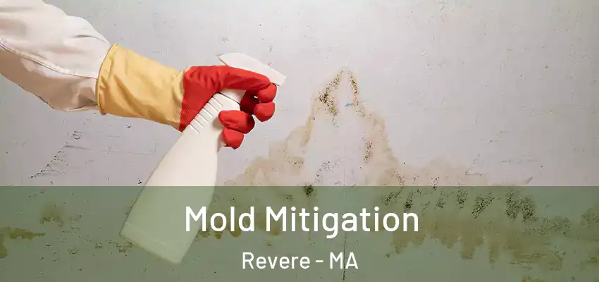 Mold Mitigation Revere - MA