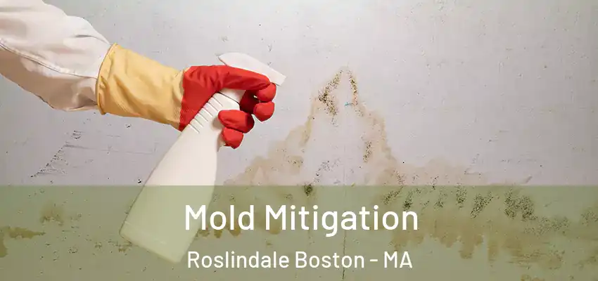 Mold Mitigation Roslindale Boston - MA