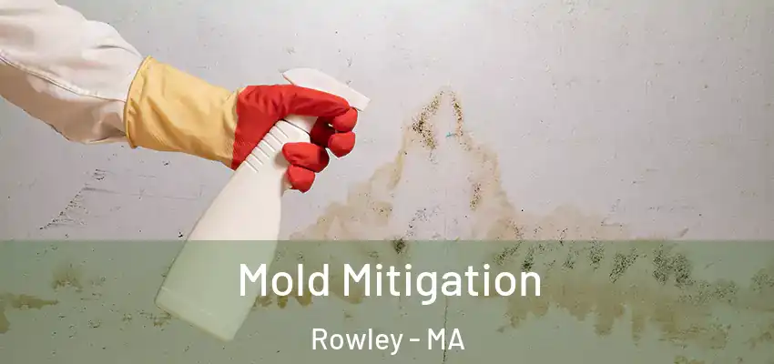  Mold Mitigation Rowley - MA
