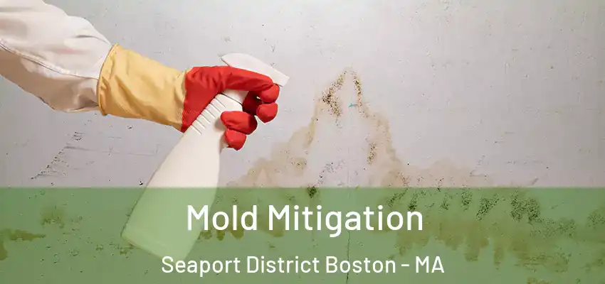  Mold Mitigation Seaport District Boston - MA