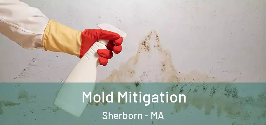 Mold Mitigation Sherborn - MA