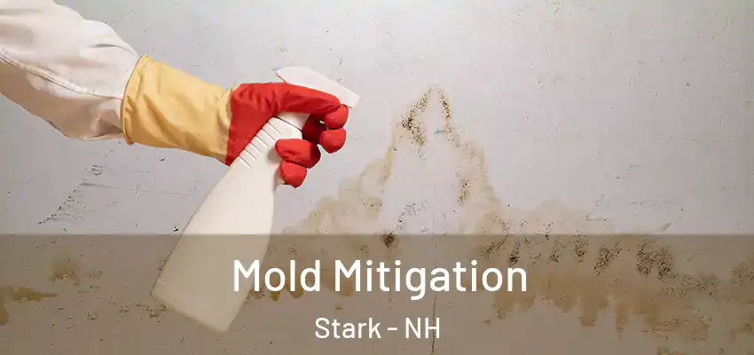 Mold Mitigation Stark - NH