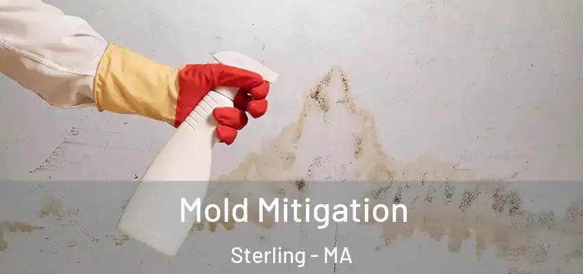 Mold Mitigation Sterling - MA