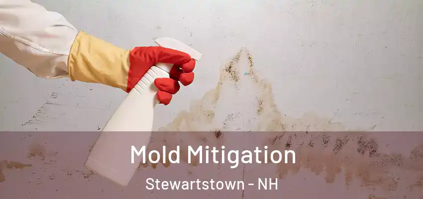  Mold Mitigation Stewartstown - NH