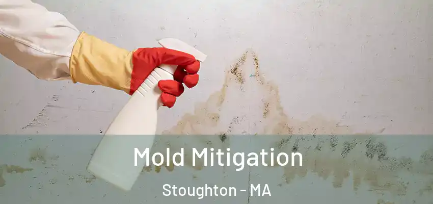 Mold Mitigation Stoughton - MA