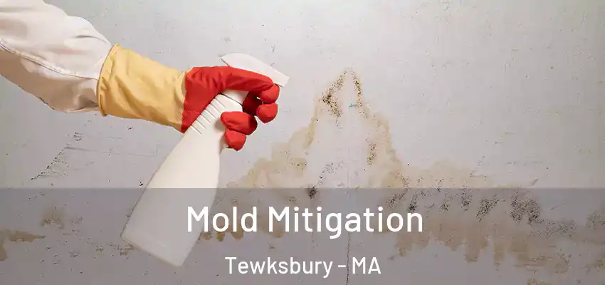 Mold Mitigation Tewksbury - MA