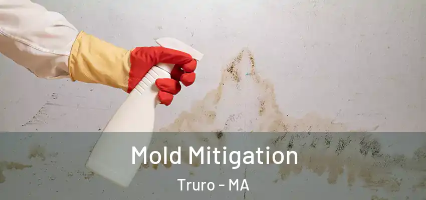 Mold Mitigation Truro - MA