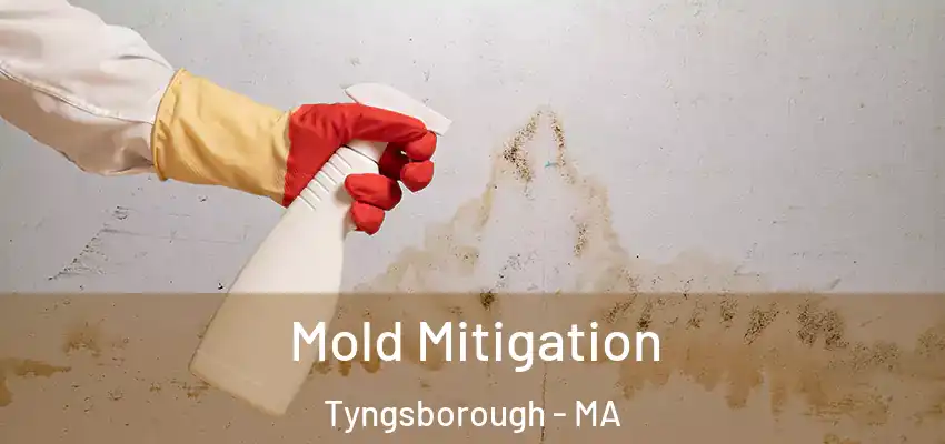  Mold Mitigation Tyngsborough - MA
