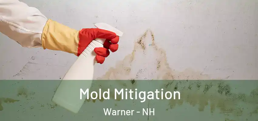  Mold Mitigation Warner - NH