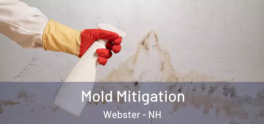  Mold Mitigation Webster - NH