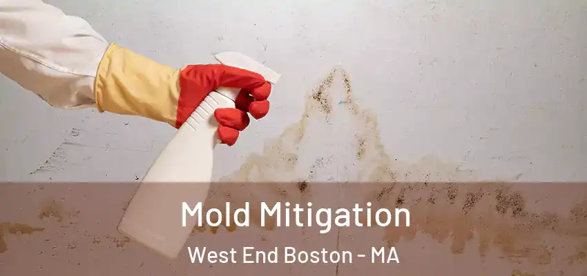 Mold Mitigation West End Boston - MA