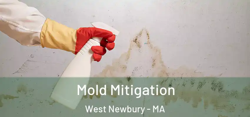Mold Mitigation West Newbury - MA