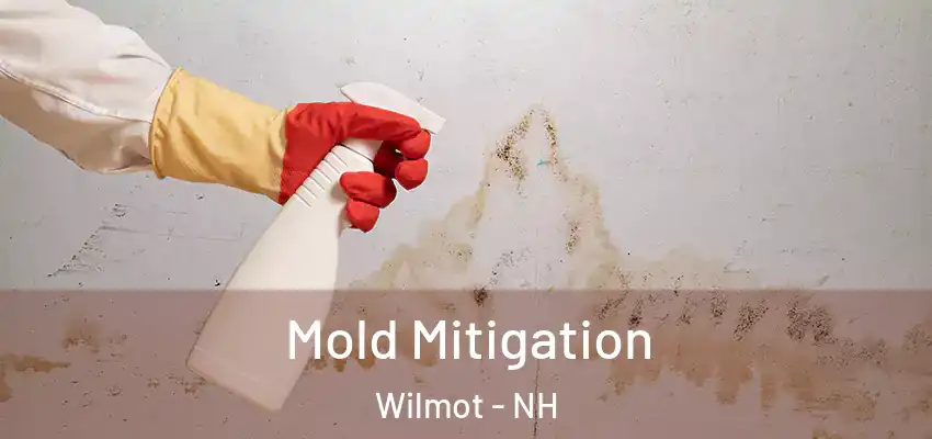 Mold Mitigation Wilmot - NH