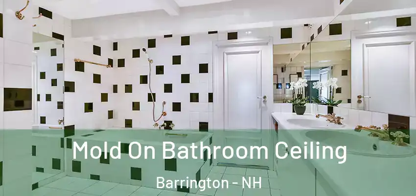  Mold On Bathroom Ceiling Barrington - NH