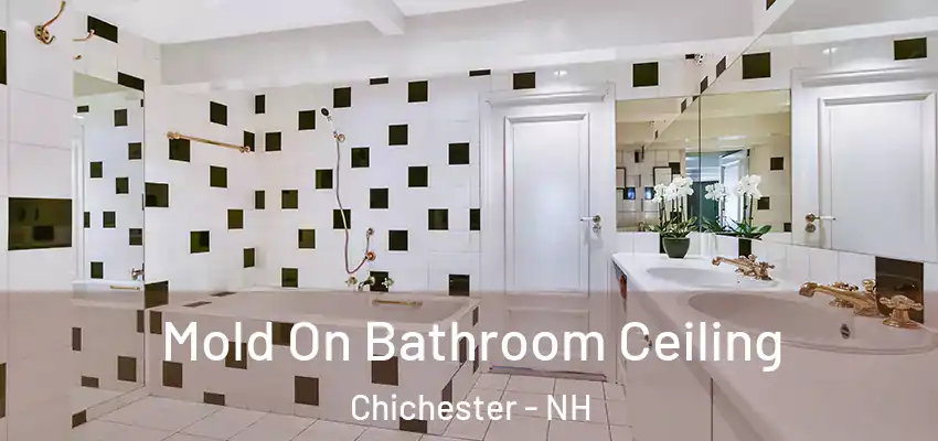 Mold On Bathroom Ceiling Chichester - NH