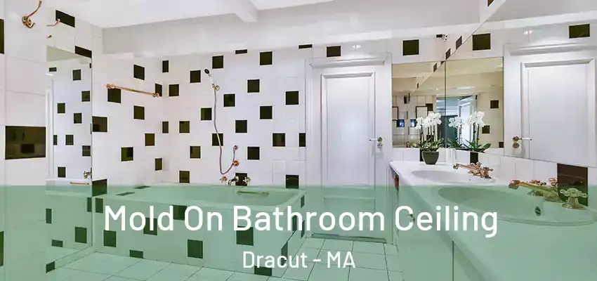 Mold On Bathroom Ceiling Dracut - MA