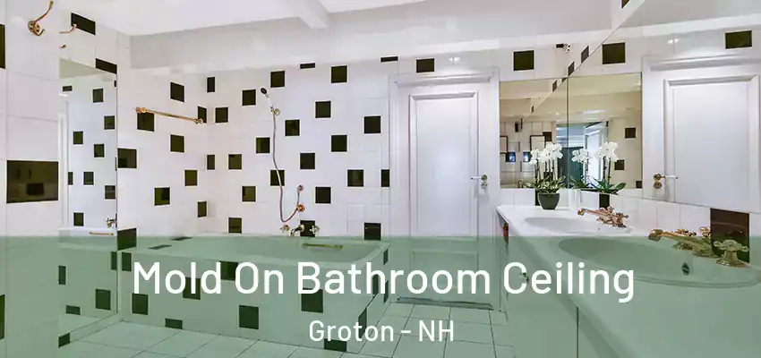Mold On Bathroom Ceiling Groton - NH