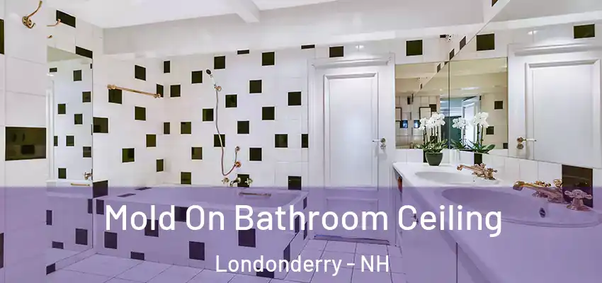  Mold On Bathroom Ceiling Londonderry - NH