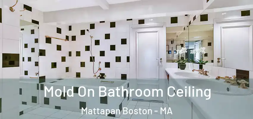  Mold On Bathroom Ceiling Mattapan Boston - MA