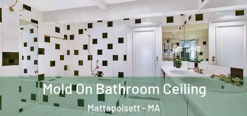 Mold On Bathroom Ceiling Mattapoisett - MA