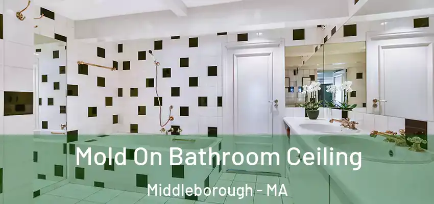 Mold On Bathroom Ceiling Middleborough - MA