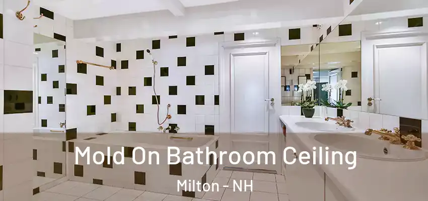 Mold On Bathroom Ceiling Milton - NH