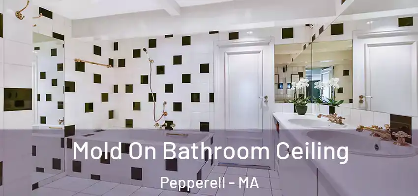  Mold On Bathroom Ceiling Pepperell - MA