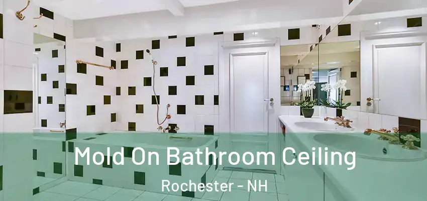 Mold On Bathroom Ceiling Rochester - NH
